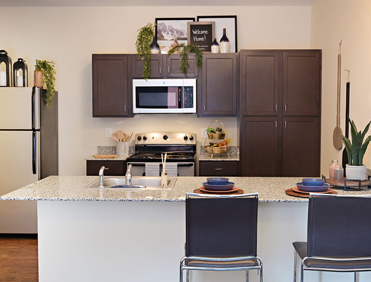 Apartment kitchen