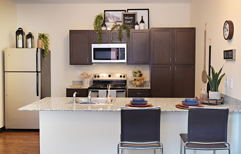 Apartment kitchen